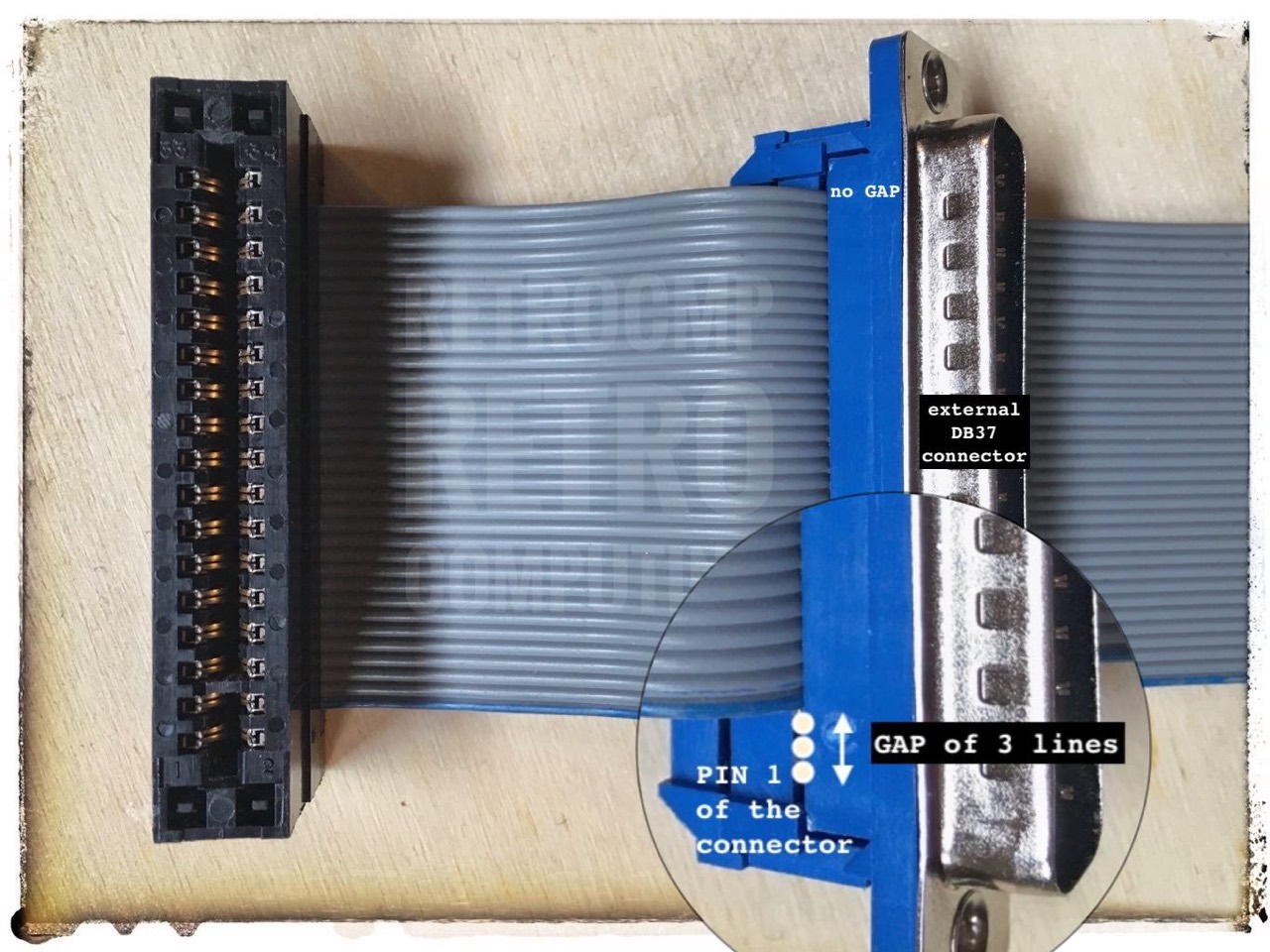 DB37 Connector